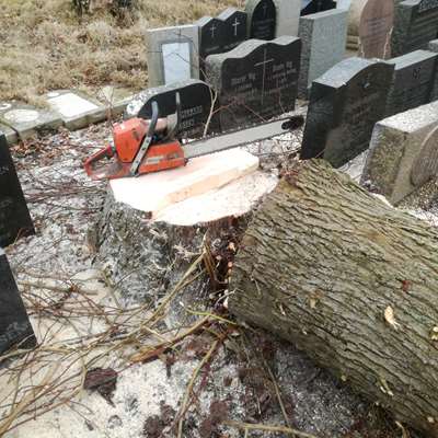 0CB3FC20 3C88 48E0 BBD7 6DCDDDCA8103