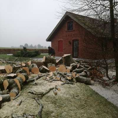 4E8CE677 58D2 4E03 998B 007A8DC0BAF3