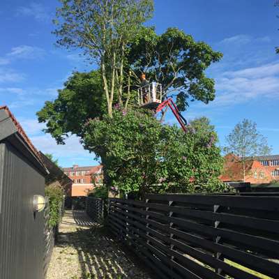 5BAD0A8D A15A 4CE4 91FC 068469CD8B7D