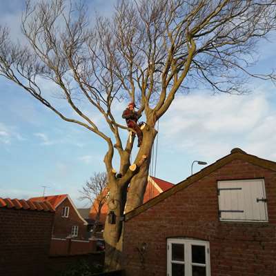 18F17C4B 7BC3 4C78 83AB B8CF36D55DEC