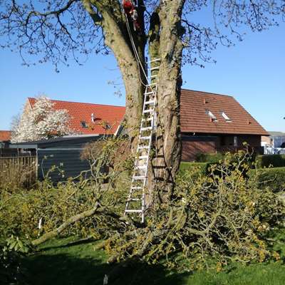 61BF390C 3875 4C65 BB70 B8215656AB1E