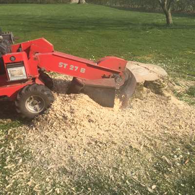 5F0BB7AC 0F1B 4740 8029 627A80B92B1F