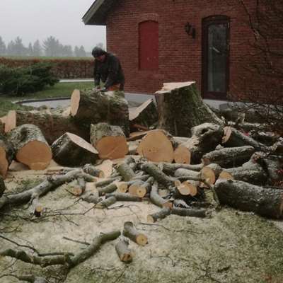 4E8CE677 58D2 4E03 998B 007A8DC0BAF3 (1)