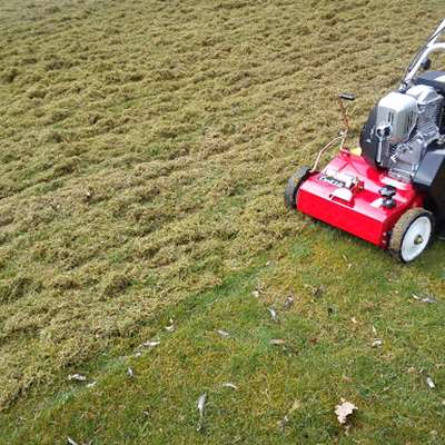 1DA91C43 297C 458E 8158 AB6C5377A7FA